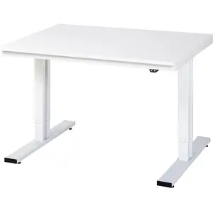 RAU, Werkbank + Arbeitsbock, Arbeitsplatz, höhenverstellbar (125 cm, 100 cm)