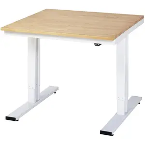 RAU, Werkbank + Arbeitsbock, Arbeitstisch, elektrisch höhenverstellbar (100 cm, 100 cm)