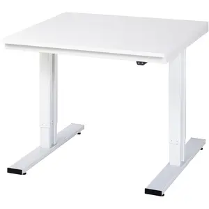 RAU, Werkbank + Arbeitsbock, Arbeitstisch, elektrisch höhenverstellbar (100 cm, 100 cm)