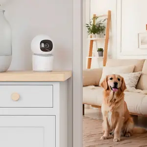 Hama Smart Indoor-Kamera, 2-Wege-Audio Sensor WLAN beweglich günstig