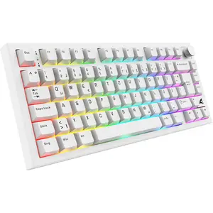 Sharkoon SGK55W Gaming Tastatur kabellose Gaming Tastatur im 75%-Layou...