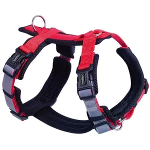 Nobby Daily Walk Comfort (M, Hund, Spazieren), Halsband + Leine günstig