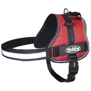 Nobby Geschirr SEGURO (L, Hund), Halsband + Leine günstig