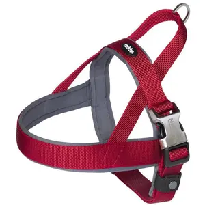 Nobby Norwegergeschirr Classic Preno Royal (L, Hund, Allgemein), Halsband + Leine günstig