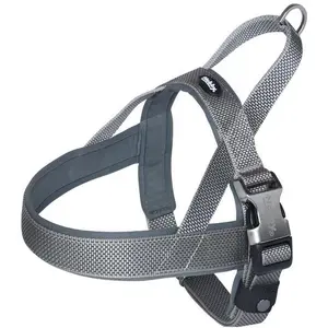 Nobby Norwegergeschirr Classic Preno Royal (Hund, Allgemein), Halsband + Leine günstig
