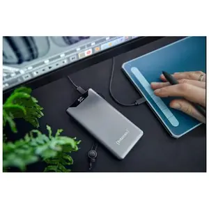 Intenso Power Bank F 20000 mAh Grau USB C/C günstig