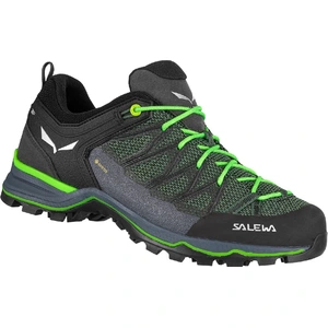 Salewa Mountain Trainer Lite Gore-tex® Wanderschuhe EU 41