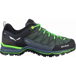 Salewa Mountain Trainer Lite Gore-tex® Wanderschuhe EU 45