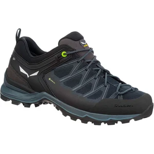 Salewa Mountain Trainer Lite Gore-tex® Wanderschuhe EU 44 1/2