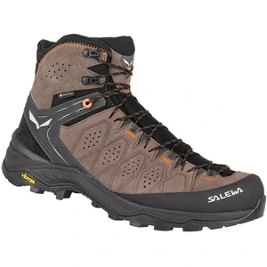 Salewa Schuhe MS Alp Trainer 2 Mid Gtx, 613827512