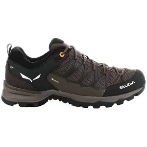 Salewa Schuhe Mtn Trainer Lite Gtx, 613617512