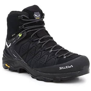 Salewa Schuhe MS Alp Trainer 2 Mid Gtx, 613820971