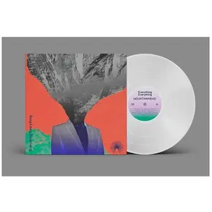 BMG Rights Management, Schallplatten, Mountainhead (VINYL) (Everything Everything) günstig
