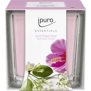 IPURO Duftkerze ipuro Duftkerze Essentials Flower Bowl 125 g günstig