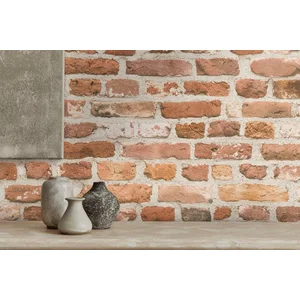 A.S. Création Vliestapete Bricks & Stones Backstein Steinoptik, leicht... günstig