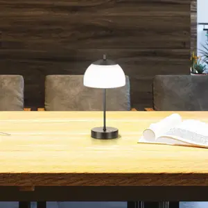 LED-Akku-Tischleuchte Riva, schwarz, CCT, dimmbar, Höhe 35cm günstig