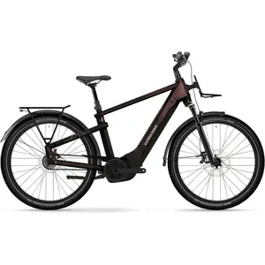 Winora YAKUN R5 HIGH i600Wh 5-G Nexus 25 WIN BCXK GL_red/violet red Rh L - E-City Bi.... günstig