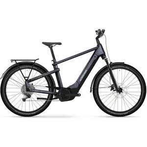 Winora Yakun X10e High Cues 2025 Elektrofahrrad S günstig