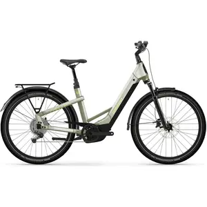 Winora YAKUN X10 LOW i800Wh 10-G Cues 25 WIN BCXK GL_ivory green Rh L. günstig