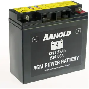Arnold Batterie AZ109 - AGM 12-22A SLA/VRLA, +Pol rechts (1 Stk.), Batterien + Akkus günstig