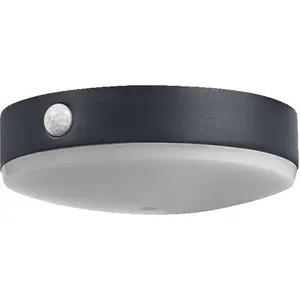 LEDVANCE Endura, Wand, Rund, IP44, Schwarz