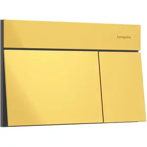 hansgrohe, Betätigungsplatte, iFrame élément E Plaques de déclenchement pour chasse d'eau à 2 quantités, 66003990, 66003990 günstig