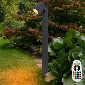 RGB LED Stehleuchte, anthrazit, Glas, Spot beweglich, H 80 cm