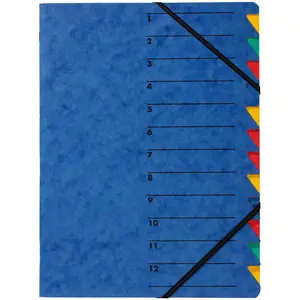 Pagna, Mappe, Ordnungsmappen Easy (A4, 1x) günstig