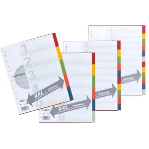Pagna, Ordner Zubehör, Kartonregister mit Deckblatt, zur freien Verwendung, einzeln günstig