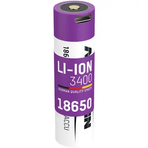 ANSMANN Li-Ion Akku 3.6V mit USB-C Port und Safetyboard, min. 3250 mAh günstig