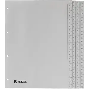 Rexel Hetzel, Ordner Zubehör, Register PP günstig
