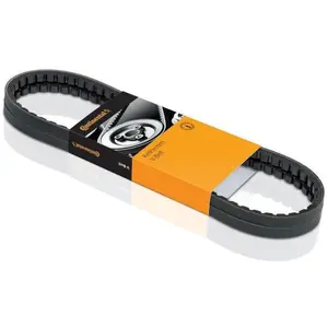 Contitech Keilrippenriemen Fuer Opel günstig