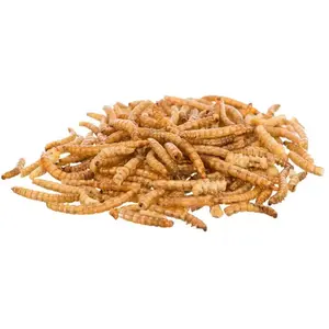 Trixie Dehydrierte Mehlwurm-snacks günstig