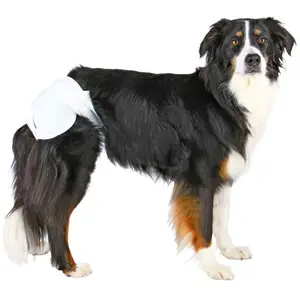 Trixie Ultra Saugfähige Damenwindeln 20-28 Cm 12 Einheiten günstig