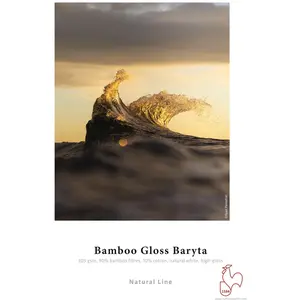 Hahnemühle Bamboo Gloss Baryta A4 25 Blatt (Neuheit) (305 g/m², A4, 25 Stk.), Fotopapier, Weiss günstig