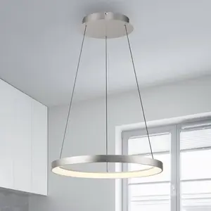 Paul Neuhaus LED-Hängelampe Hoop, alufarben, Ø 57cm, dimmbar günstig