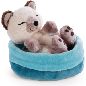 Nici Schlafende Haustiere Kätzchen Siamkatze Im Korb Teddy 12 Cm