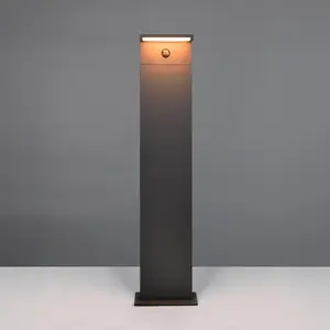LED-Wegelampe Ravi, anthrazit, Höhe 100 cm, Sensor, IP54