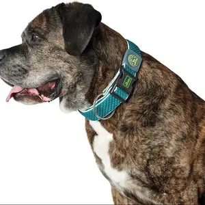 Hunter Pet Plus Thread Hundehalsband günstig