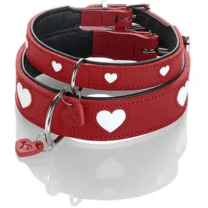 Hunter Pet Love Hundehalsband günstig