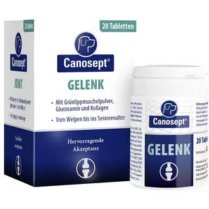 Canosept® Gelenk-Tabletten 20 ct günstig