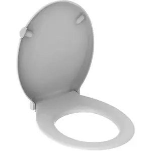 Geberit Renova Comfort Basic WC-Sitz weiß, antibak, m. edst. Scharnierwelle, 1 Stk. günstig