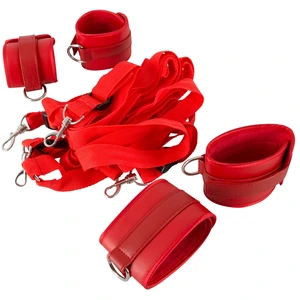 BDSM : Bettfessel-Set