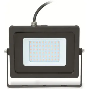 Eurolite, Gartenbeleuchtung, LED Aussenstrahler IP FL 30 SMD (IP65)