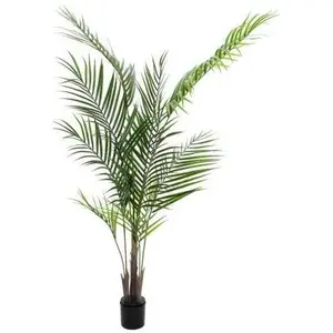 Europalms, Kunstpflanzen, Grossblatt-Areca, Kunstpflanze, 165cm (165 cm) günstig
