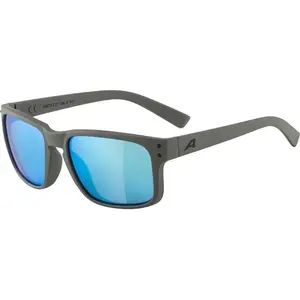 Sonnenbrille Alpina Kosmic Gris TU günstig