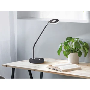 Fischer & Honsel LED Tischlampe DENT Schwarz 60cm günstig
