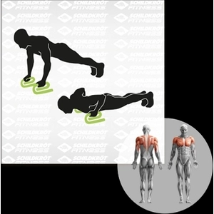 Schildkröt-Fitness Gymnastikhantel SK Fitness PUSH UP BARS, 2 Liegestü günstig