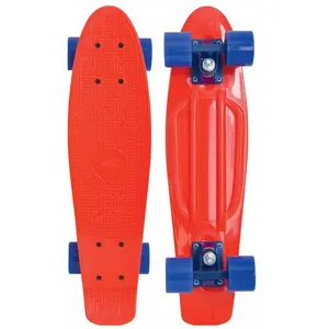 Schildkröt, Skateboard, (22.05")