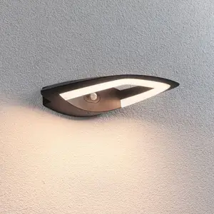 Paulmann LED-Sensor-Außenwandlampe Akena, 3.000 K, anthrazit